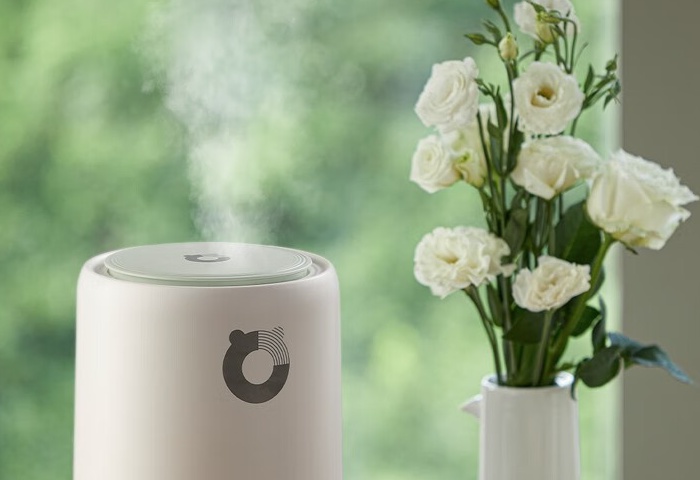 冬季家居，加濕器選購指南